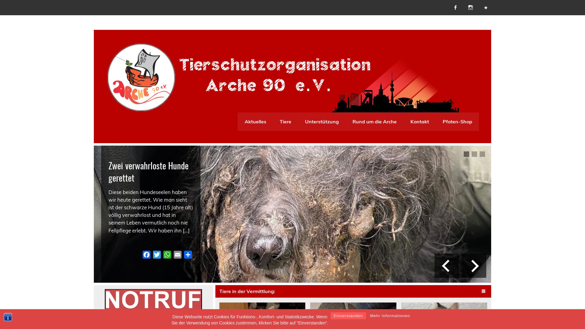 Tierschutzorganisation Arche 90 e.V.