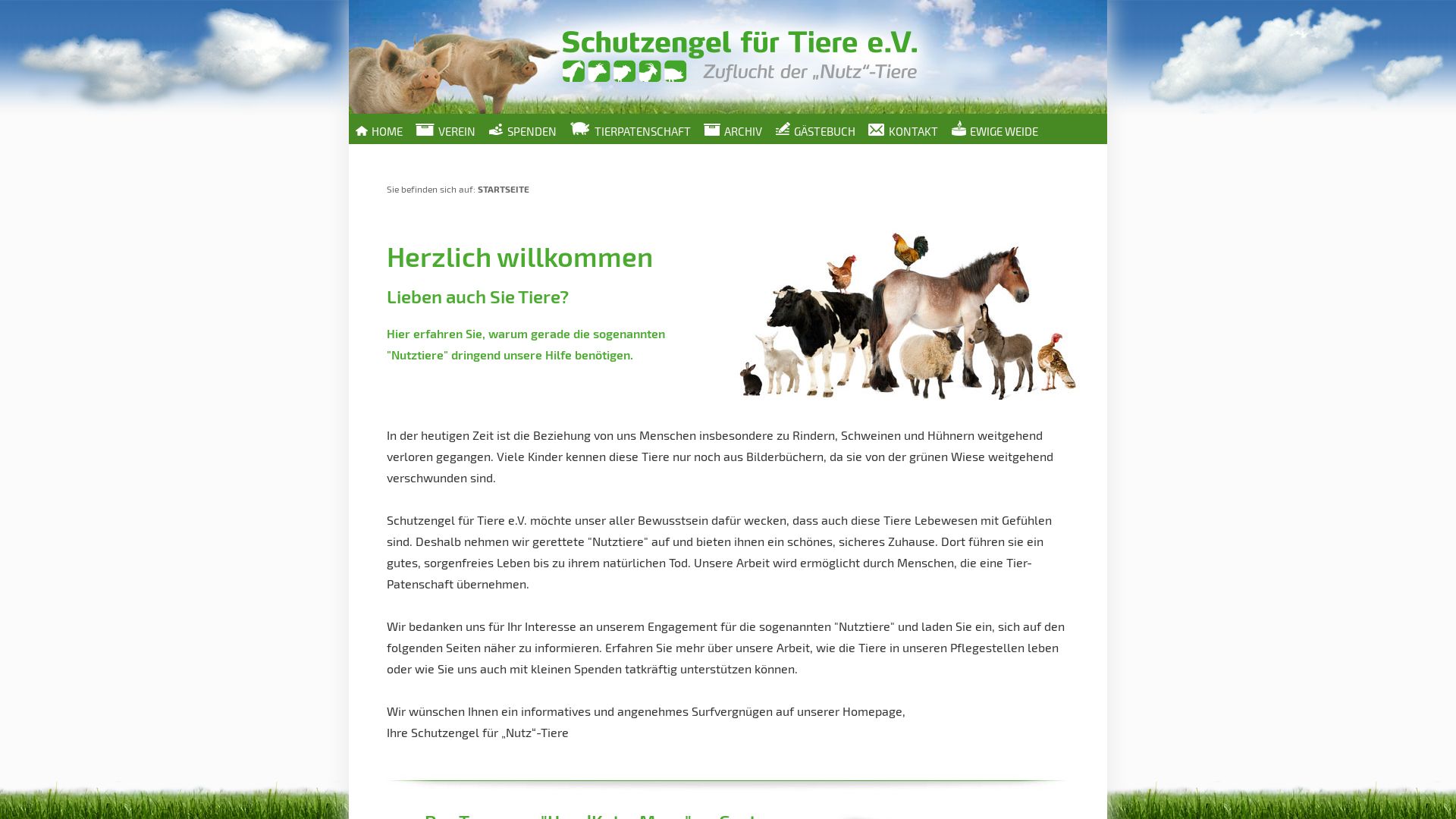 Schutzengel für Tiere e.V.