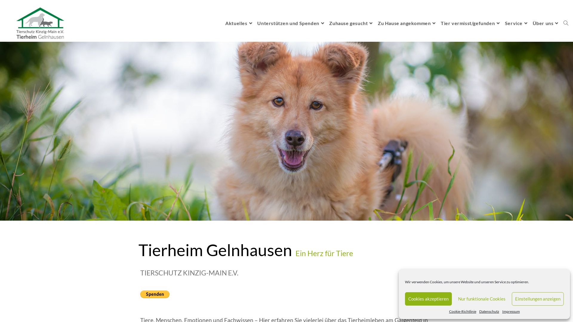 Tierheim Gelnhausen Kinzig-Main e.V.