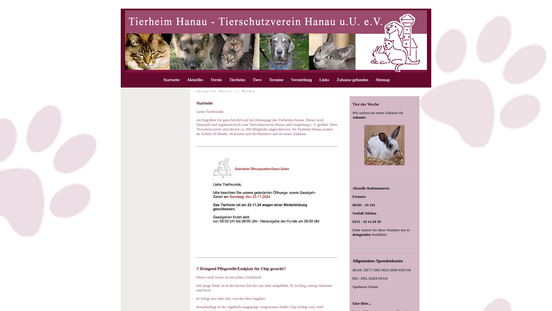 Tierheim Hanau